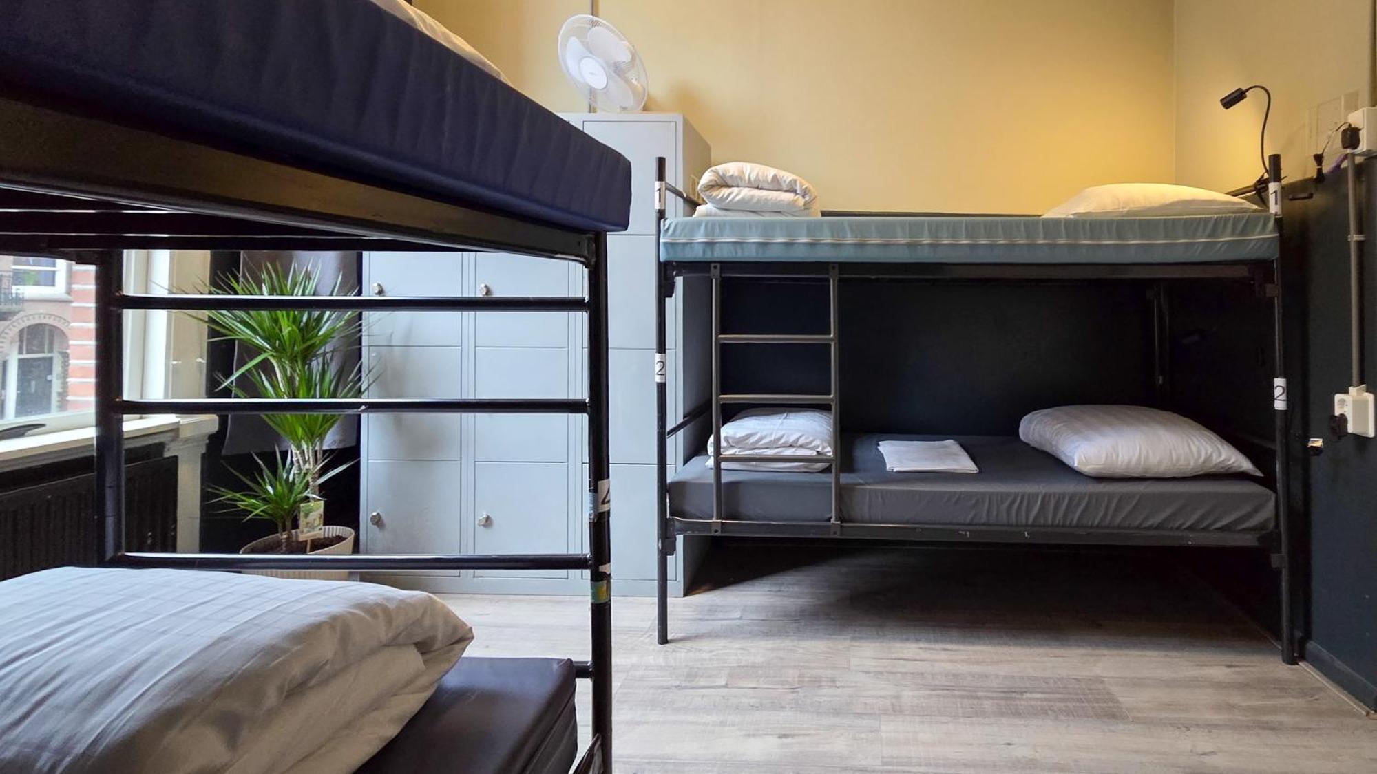 4-Bed Mixed Dormitory Room