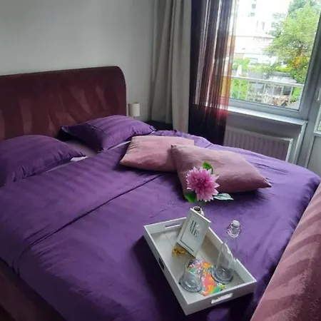 Sunny Guesthouse-3