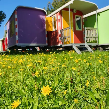 Camping Zeeburg Amsterdam-3