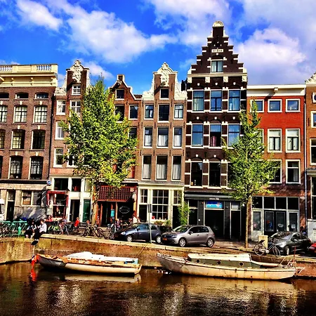 Tulip Of Amsterdam-2
