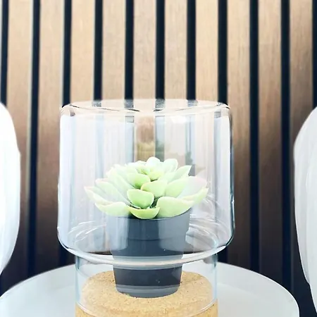 Hotel Plantage-3
