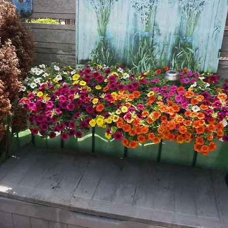 Amsterdam Roof Terrace B&B-2