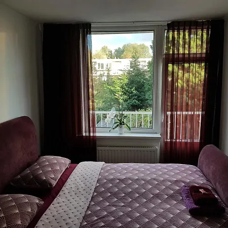 Sunny Guesthouse-2